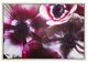 YHD Anemone II Wall Art-0