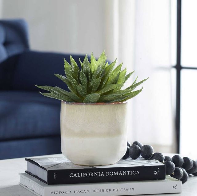 Uttermost® Doha Green Succulent Accent Artificial Foliage-1