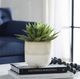 Uttermost® Doha Green Succulent Accent Artificial Foliage-1