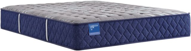 Sealy® Carrington Chase Wild Canyon 12.5" Wrapped Coil Firm Tight Top Twin XL Mattress-0