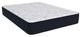 Southerland™ American Sleep® Colten 12.5" Wrapped Coil Plush Euro Top Queen Mattress-0
