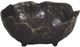 Renwil® Sparta Plated Bronze Brass Small Decorative Bowl-0