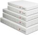 Furniture of America® Daisy 8" Bunkie Board Combo Twin XL Mattress-1