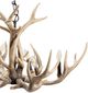 Crestview Collection Huxley Brown Antler Chandelier-3