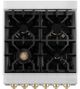 ZLINE Autograph Edition 24" Stainless Steel Pro Style Dual Fuel Range with Polished Gold Accents -4