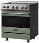 Viking® 3 Series 30" Eucalyptus Pro Style Induction Range-2