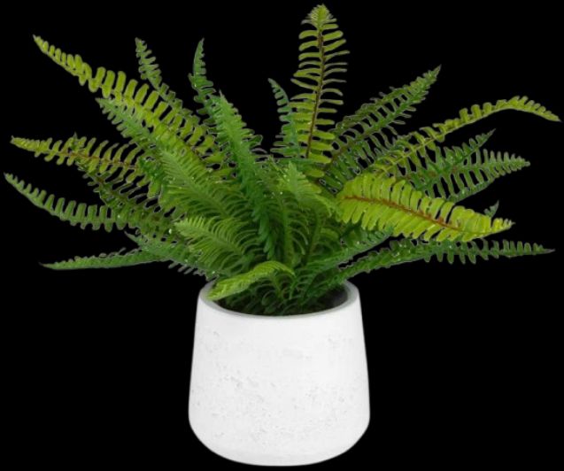 Uttermost® Boston Fern Green Centerpiece in White Ceramic Pot