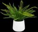 Uttermost® Boston Fern Green/White Centerpiece-0