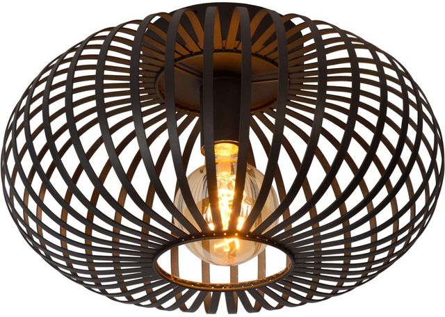 Renwil® Ivy Black Powder Pendant Light-4