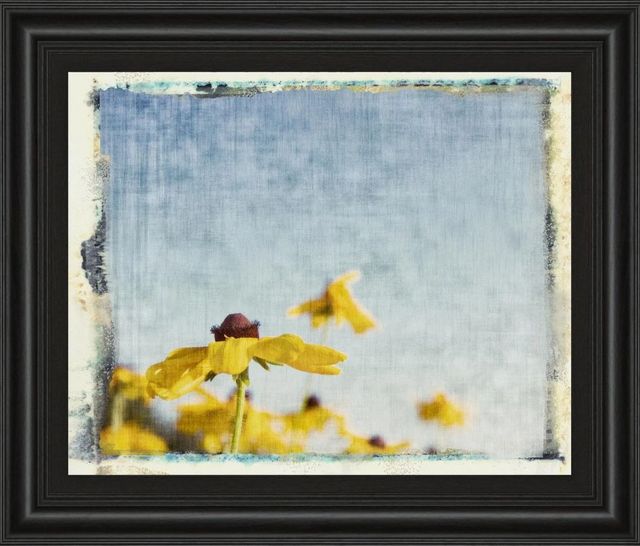 Classy Art Blackeyed Susan I by Meghan Mcsweeney Wall Art-0