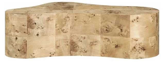Meridian Furniture Zaire Burl Coffee Table-0