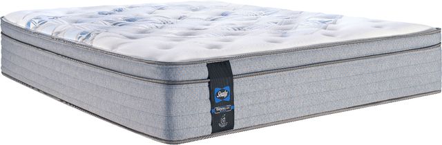 Sealy® Posturepedic® Plus Callum 12.75" Wrapped Coil Medium Euro Top Twin Mattress-0