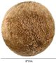 TOV Furniture New Zealand Brown Small Ball Pillow-2