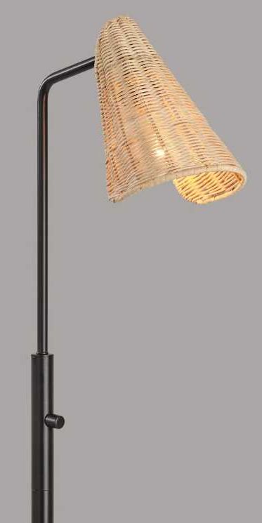 Adesso® Cove Black Floor Lamp-1