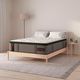 Sleeptone® Comfort Series 14" Hybrid Firm Euro Top Twin XL Mattress-1