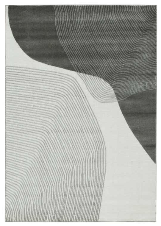 Signature Design by Ashley® Winderburg 8'x10' Area Rug-0