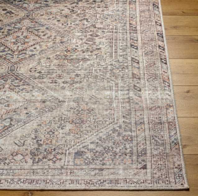 Surya Embrace Brown 4'x6' Area Rug-1