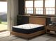 Symbol® Ultimate Luxury Darrell 14" Wrapped Coil Medium Pillow Top Queen Mattress-5