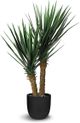 Le Present Yucca Green 39" Faux Botanical Rostrata-0