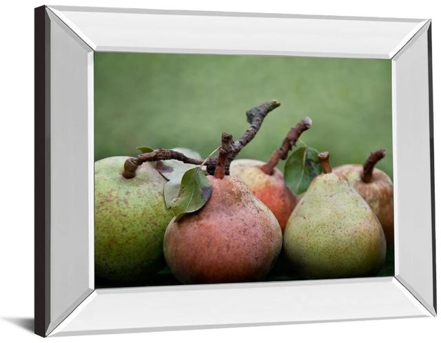Classy Art Comice Pear l by Rachel Perry  Mirror Framed Wall Art-1