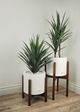 Le Present Yucca Green 43.5" Faux Botanical-3