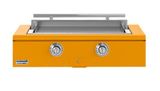 Saffron, Polished Chrome