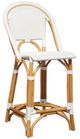 Furniture Classics Leroy Brown/White Bar Stool-0