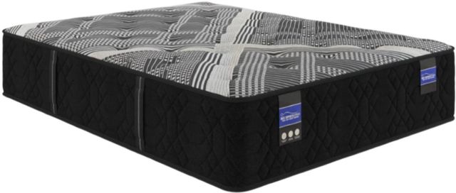 Spring Air® Back Supporter Francesca 13.5" Hybrid Medium Tight Top Full Mattress-0