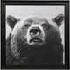 Stylecraft Bear Portrait II Wall Art-0