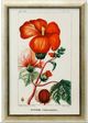 Stylecraft Green/Light Green/Off-White/Red Wall Art-0