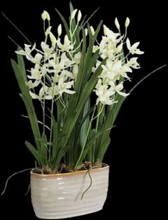 Uttermost® Ariana Orchid White Planter