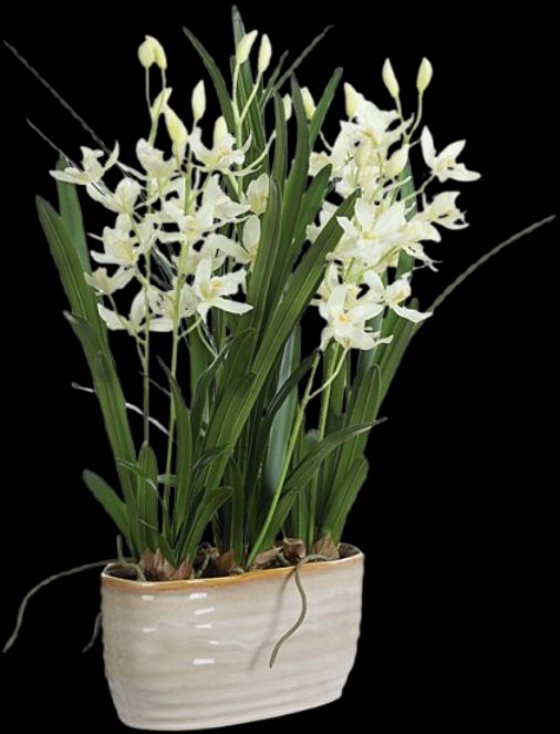 Uttermost® Ariana Orchid White Planter-0