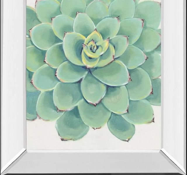 Classy Art Pastel Succulent III by Tim OToole Mirror Framed Wall Art-1