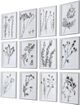 Uttermost® by Grace Feyock Contemporary Botanicals 12-Piece Monochromatic Framed Prints-5