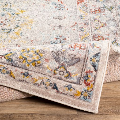 Surya Ankara Multi-Colored 5'x7' Area Rug-2