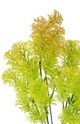 A & B Home Faux Grass Plant-1