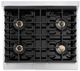 ZLINE Paramount 30" 4.2 cu. ft. Satin Stainless Steel Paramount Dual Fuel Range with 4 Burner DuoPro™ Cooktop and Electric Convection Oven-3