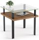 BDI Terrace™ 1156 Glass top End Table with Natural Walnut Base-1