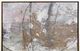 Stylecraft Norman Wyatt Home Much to Do-A Wall Art-1