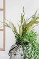 A & B Home Light Green Faux Mature Reindeer Grass Stem-4
