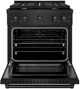 ZLINE Paramount 30" Black Stainless Steel Pro Style Dual Fuel Range-1