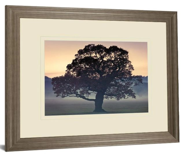 Classy Art Evening Wisdom By Assaf Frank Wall Art-0