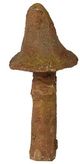 A & B Home Brown Mushroom-1