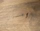 International Furniture Direct Xel-Ha Almond Brown Dining Table-1