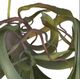 A & B Home Green Faux Spider Plant Stem-1