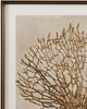Bassett Mirror Neutral Seafan Framed Print Wall Art-1