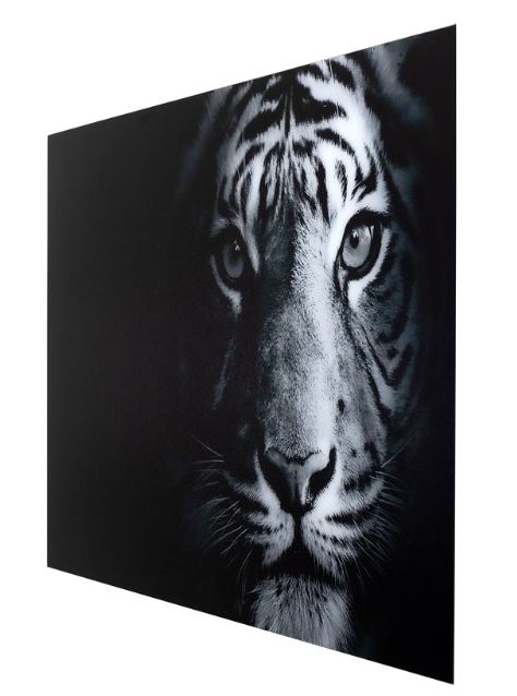 YHD Tigris I Wall Art-1
