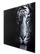YHD Tigris I Wall Art-1