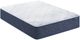 Serta® Five Star Dream Haven 10" Wrapped Coil Medium Tight Top Twin Mattress in a Box-0