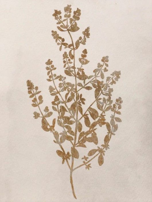 StyleCraft Pressed Branch l Wall Art-1